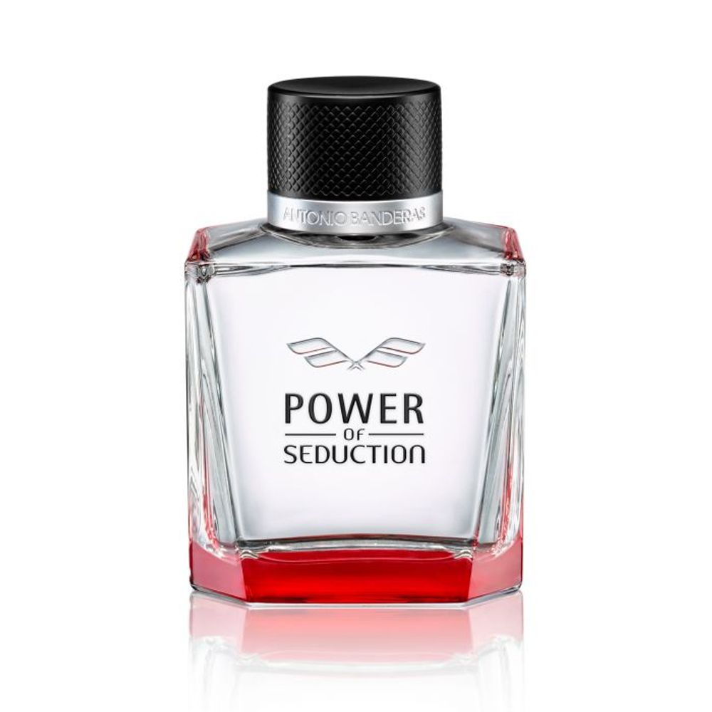Power and Seduction by Joan Hohl
